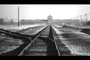 300_0_porauschwitz