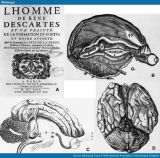 lhomme-descartes1.jpg