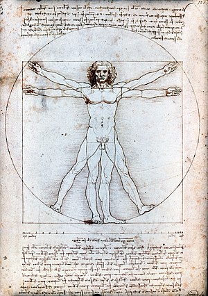 300px-Vitruvian_Man_by_Leonardo_da_Vinci